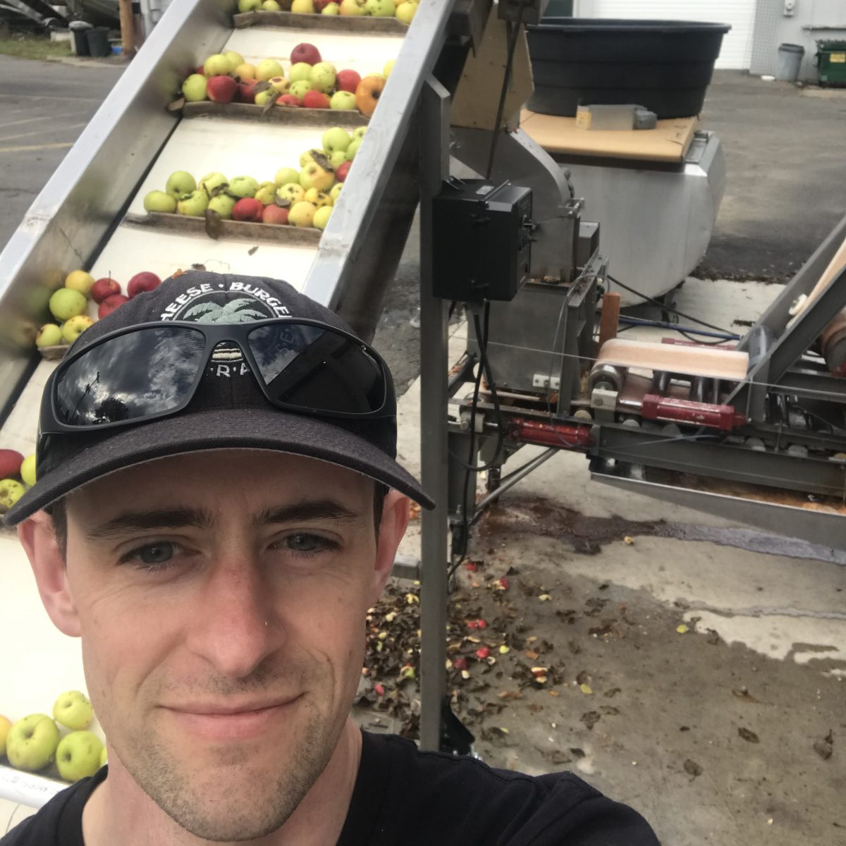 Galen Williams at the apple elevator during harvest, mixed cider apples running up the belt behind him and the mill beyond.