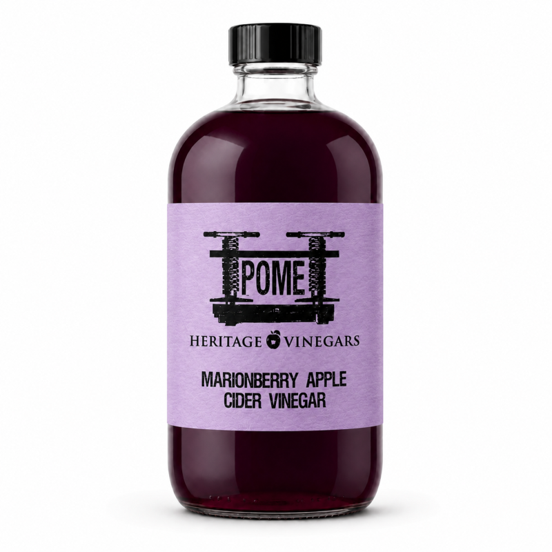 POME Marionberry Apple Cider Vinegar in a clear Boston round bottle with a lavender label.