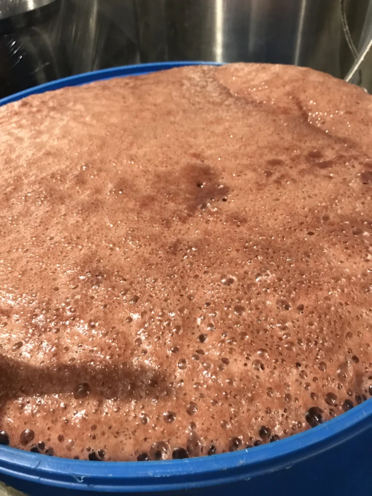A dense rose colored cap of foam and bubbles across the surface of a fermenting vessel.